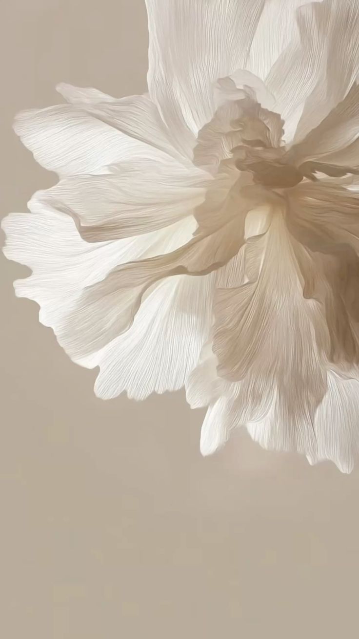 Massage des mains pendant la pose du masque lors d'un soin visage