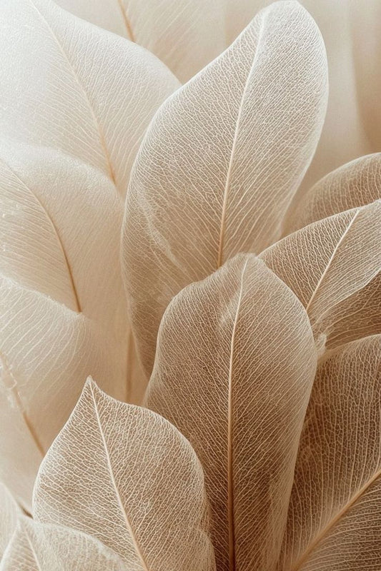 Expérience relaxation - 30 min