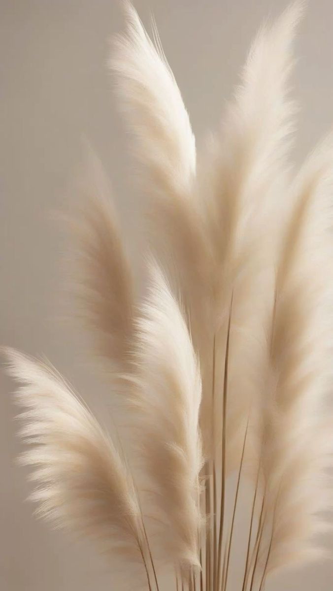 Soin visage : Rituel Skincar'la Anti-âge et fermeté - 1h15