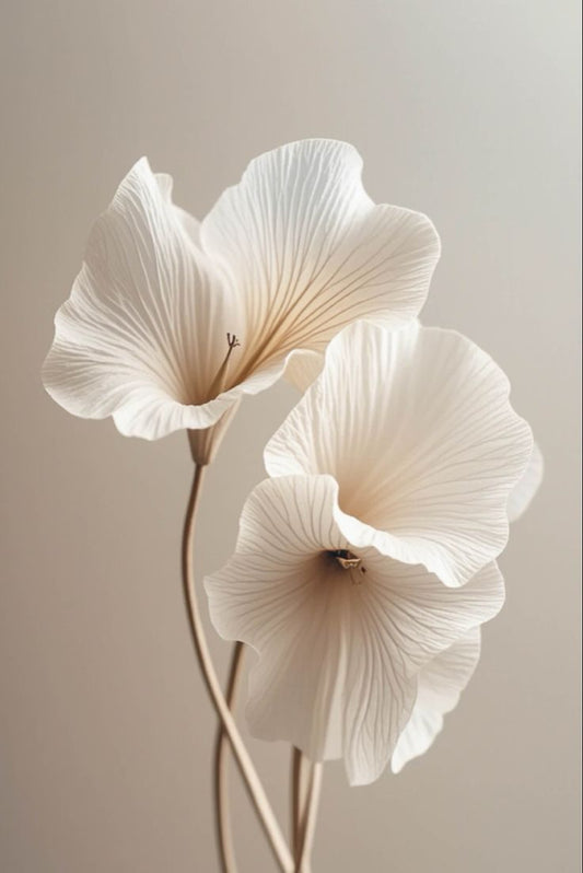 Diagnostic de peau  - 20 min