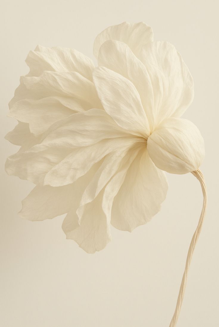 Soin visage : Glow perfect (Hydrafacial + Peeling) - 1h