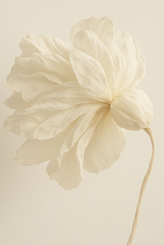 Soin visage : Glow perfect (Hydrafacial + Peeling) - 1h